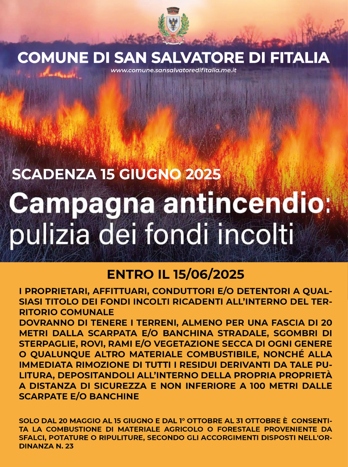 Immagine anteprima