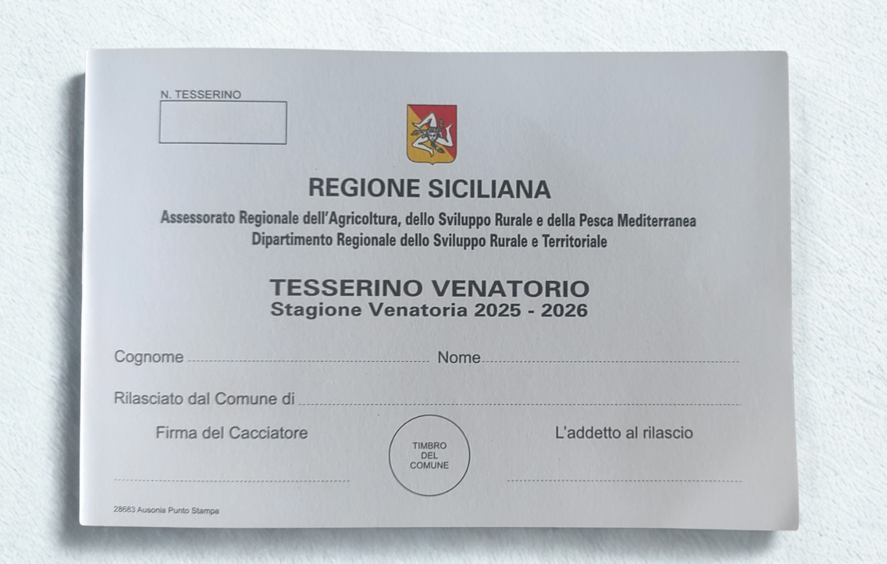 Immagine anteprima