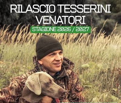 Immagine anteprima